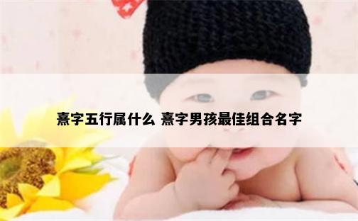 熹字五行属什么 熹字男孩最佳组合名字